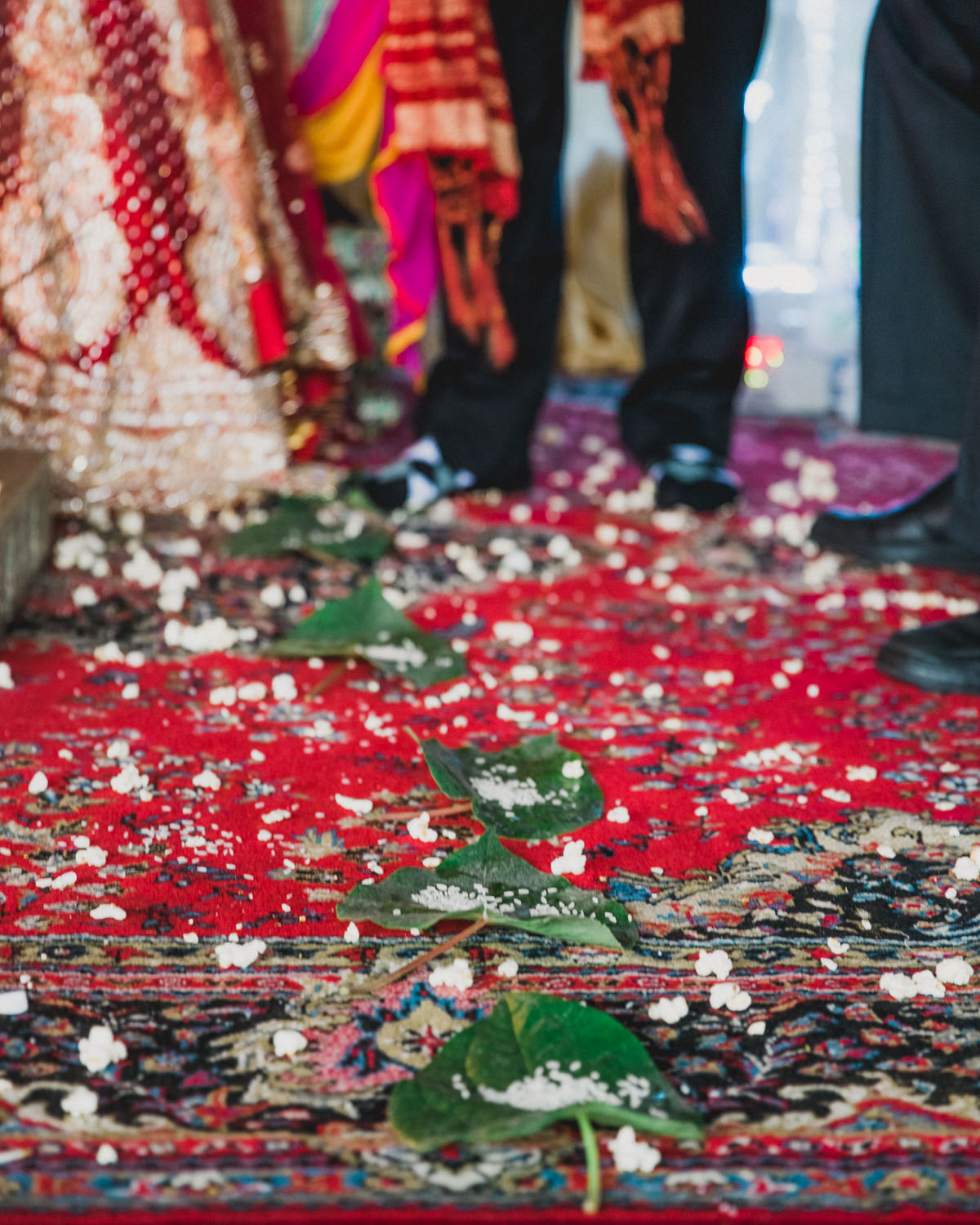 indian wedding photos miami