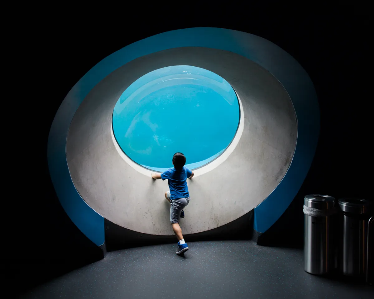 A boy looking up through a circular aquarium viewing window at the Frost Science Museum in Miami.